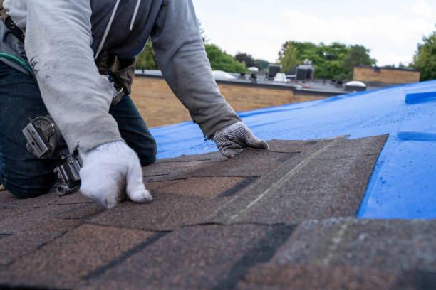 Best Roof Restoration Services  in Kelseyville, CA
